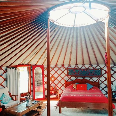 Les Yourtes D'Hotes Plouguiel Dış mekan fotoğraf