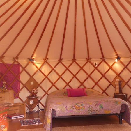 Les Yourtes D'Hotes Plouguiel Dış mekan fotoğraf